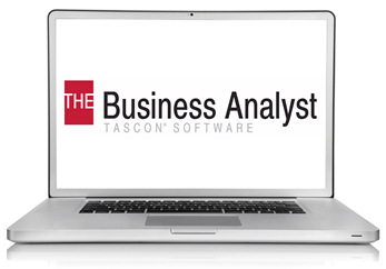 business analyst